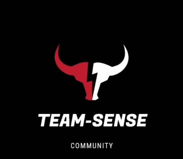 https://team.sense.community